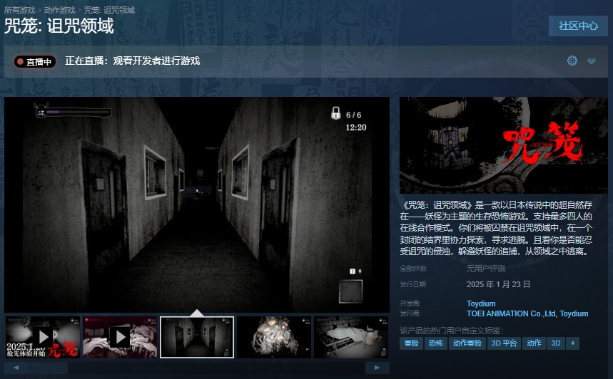 咒笼:诅咒领域上线时间/配置要求/中文/好友联机加速器推荐
