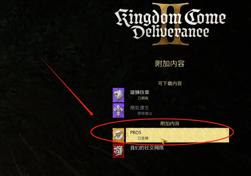 天国拯救2PROS账号怎么注册?Steam怎么绑定PROS账号?PROS账号注册失败怎么办