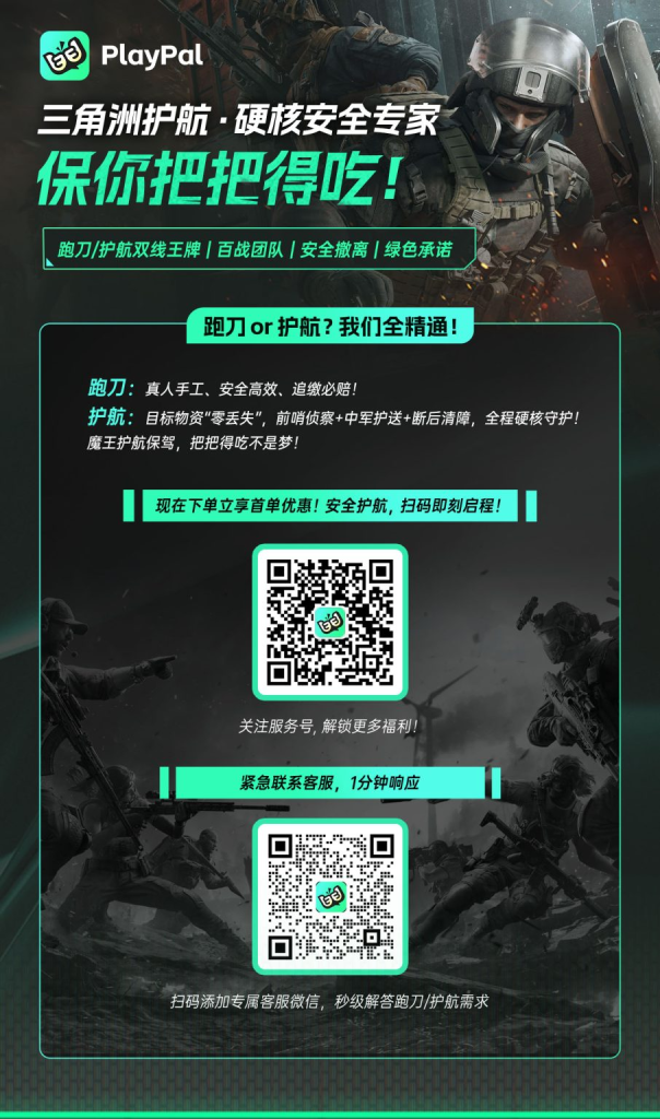 Playpal三角洲硬核护航插图